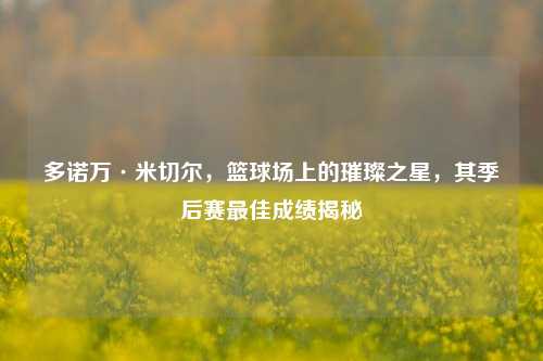 多诺万·米切尔,篮球场上的璀璨之星,其季后赛更佳成绩揭秘