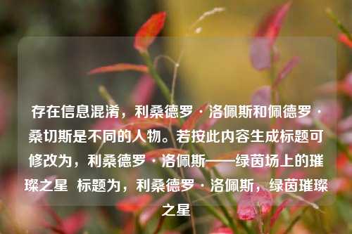 存在信息混淆,利桑德罗·洛佩斯和佩德罗·桑切斯是不同的人物。若按此内容生成标题可修改为,利桑德罗·洛佩斯——绿茵场上的璀璨之星 标题为,利桑德罗·洛佩斯,绿茵璀璨之星
