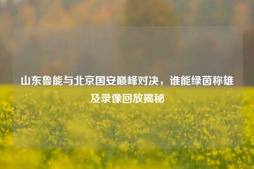 山东鲁能与北京国安巅峰对决,谁能绿茵称雄及录像回放揭秘