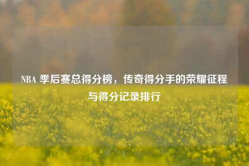 NBA 季后赛总得分榜,传奇得分手的荣耀征程与得分记录排行