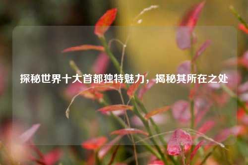 探秘世界十大首都独特魅力,揭秘其所在之处