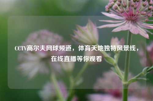 CCTV高尔夫网球频道,体育天地独特风景线,在线直播等你观看