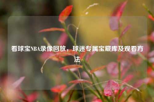 看球宝NBA录像回放,球迷专属宝藏库及观看