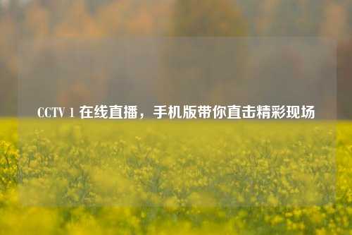 CCTV 1 在线直播,手机版带你直击精彩现场