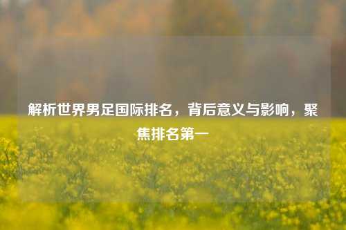 解析世界男足国际排名,背后意义与影响,聚焦排名之一