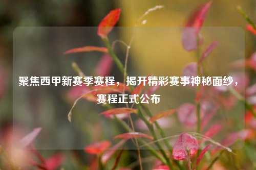 聚焦西甲新赛季赛程,揭开精彩赛事神秘面纱,赛程正式公布
