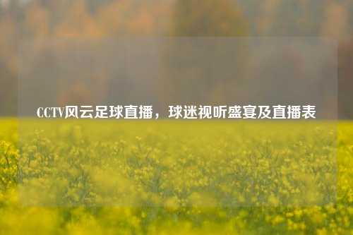 CCTV风云足球直播,球迷视听盛宴及直播表