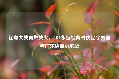 辽粤大战再燃战火,CBA永恒经典对决辽宁男篮与广东男篮G4来袭