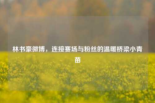 林书豪微博,连接赛场与粉丝的温暖桥梁小青苗