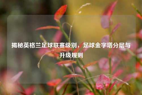 揭秘英格兰足球联赛级别,足球金字塔分层与升级规则
