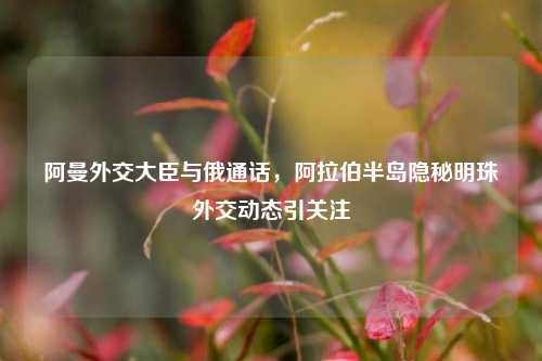 阿曼外交大臣与俄通话,***半岛隐秘明珠外交动态引关注