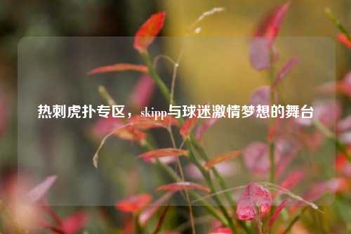 热刺虎扑专区,skipp与球迷***梦想的舞台