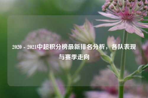 2020 - 2021中超积分榜最新排名分析,各队表现与赛季走向