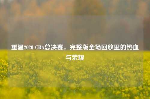 重温2020 CBA总决赛,完整版全场回放里的热血与荣耀