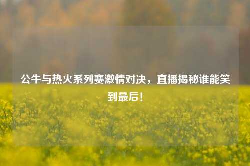 公牛与热火系列赛***对决,直播揭秘谁能笑到最后!