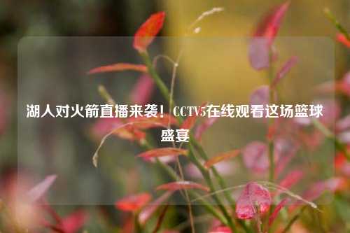 湖人对火箭直播来袭!CCTV5在线观看这场篮球盛宴