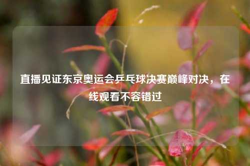 直播见证东京奥运会乒乓球决赛巅峰对决,在线观看不容错过