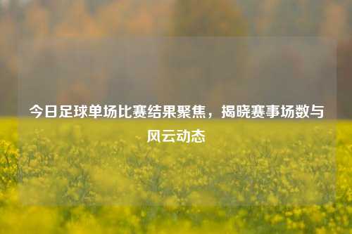 今日足球单场比赛结果聚焦,揭晓赛事场数与风云动态