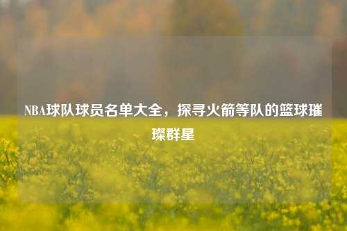 NBA球队球员名单大全,探寻火箭等队的篮球璀璨群星
