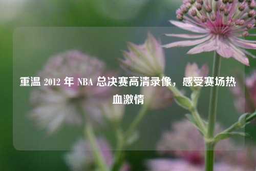 重温 2012 年 NBA 总决赛高清录像,感受赛场热血***