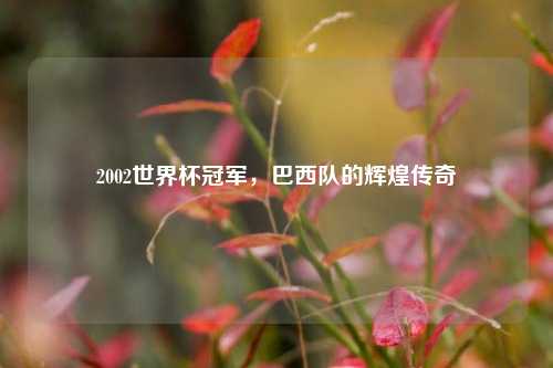 2002世界杯冠军,巴西队的辉煌传奇
