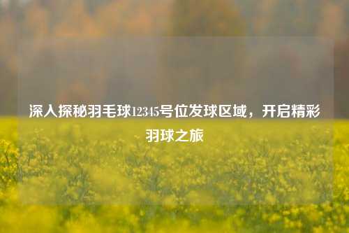 深入探秘羽毛球12345号位发球区域,开启精彩羽球之旅