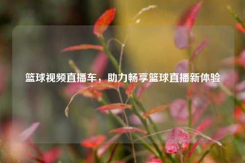 篮球视频直播车,助力畅享篮球直播新体验