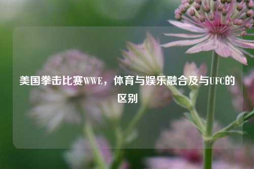 美国拳击比赛WWE,体育与娱乐融合及与UFC的区别