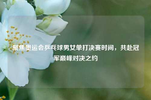 聚焦奥运会乒乓球男女单打决赛时间,共赴冠军巅峰对决之约