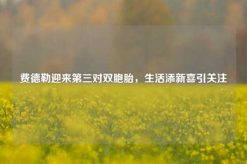费德勒迎来第三对双胞胎,生活添新喜引关注