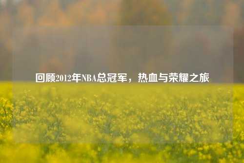 回顾2012年NBA总冠军,热血与荣耀之旅