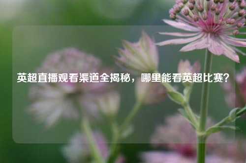 英超直播观看渠道全揭秘,哪里能看英超比赛?