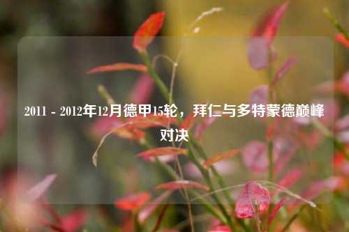 2011 - 2012年12月德甲15轮,拜仁与多特蒙德巅峰对决