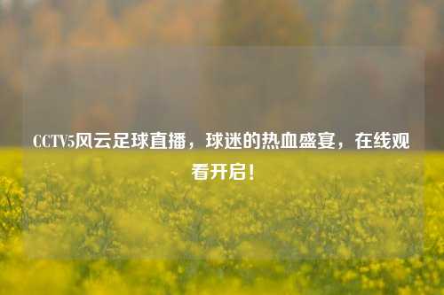 CCTV5风云足球直播,球迷的热血盛宴,在线观看开启!