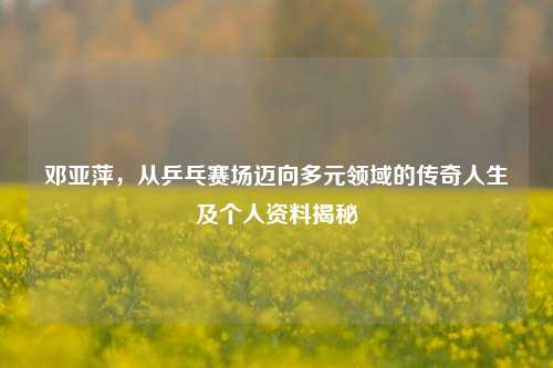 邓亚萍,从乒乓赛场迈向多元领域的传奇人生及个人资料揭秘