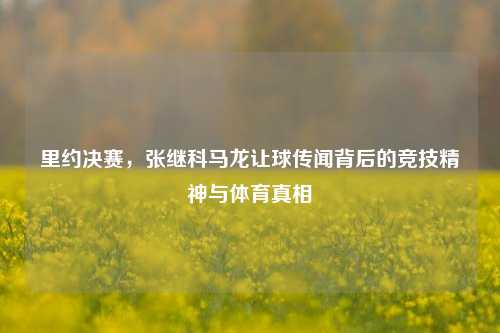 里约决赛,张继科马龙让球传闻背后的竞技精神与体育真相