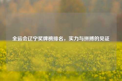 全运会辽宁奖牌榜排名,实力与拼搏的见证