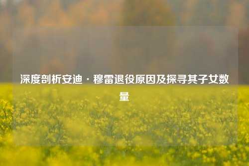 深度剖析安迪·穆雷退役原因及探寻其子女数量