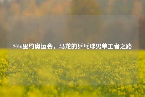 2016里约奥运会,马龙的乒乓球男单王者之路