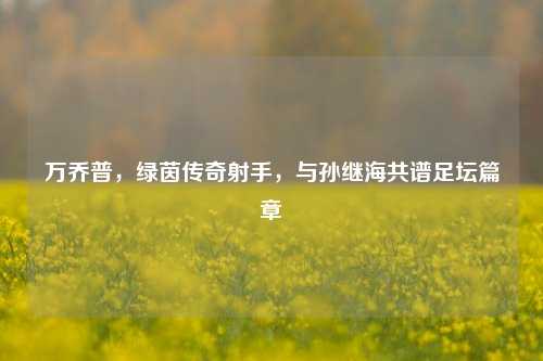 万乔普,绿茵传奇射手,与孙继海共谱足坛篇章