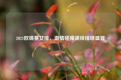 2021欧锦赛女排,***碰撞演绎排球盛宴
