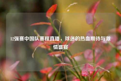 12强赛中国队赛程直播,球迷的热血期待与***盛宴