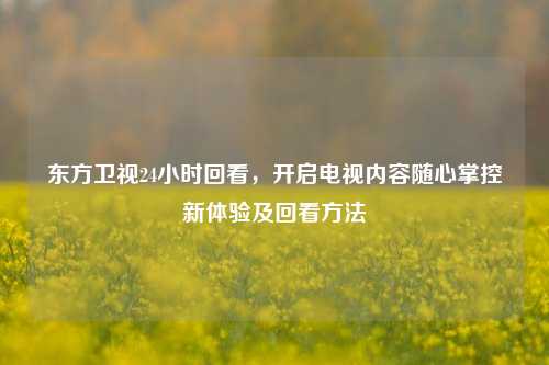 东方卫视24小时回看,开启电视内容随心掌控新体验及回看