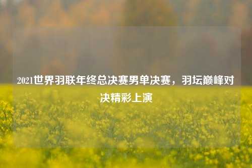 2021世界羽联年终总决赛男单决赛,羽坛巅峰对决精彩上演