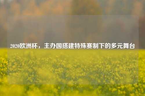 2020欧洲杯,主办国搭建特殊赛制下的多元舞台