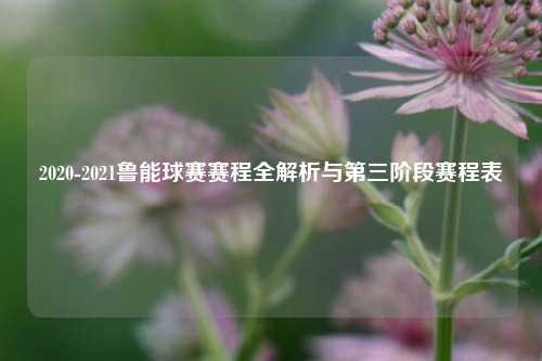 2020-2021鲁能球赛赛程全解析与第三阶段赛程表