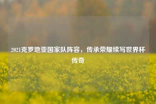 2021克罗地亚国家队阵容,传承荣耀续写世界杯传奇