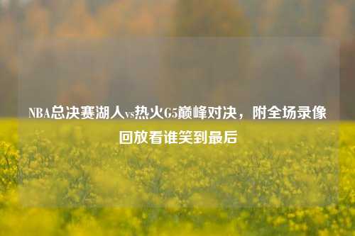 NBA总决赛湖人vs热火G5巅峰对决,附全场录像回放看谁笑到最后