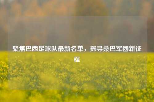 聚焦巴西足球队最新名单,探寻桑巴军团新征程