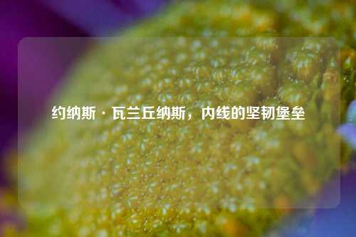 约纳斯·瓦兰丘纳斯,内线的坚韧堡垒